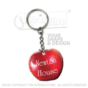 http://www.keyringpromotions.com/150-264-thickbox/plastic-glaze-promotional-keyrings.jpg