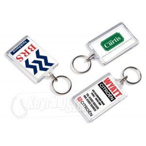 http://www.keyringpromotions.com/40-110-thickbox/rectangle-clear-plastic-reopenable-keyrings-promotional.jpg