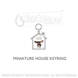 http://www.keyringpromotions.com/74-164-thickbox/pack-100-mini-house-clear-plastic-budget-keyrings-keychains-promotional.jpg